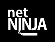 A great web designer: NetNinja, Poznan, Poland