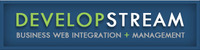 A great web designer: DevelopStream, Atlanta, GA