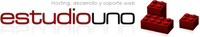 A great web designer: Estudio Uno, Santiago Chile, Chile