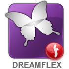 A great web designer: Dreamflex.com, Miami, FL