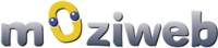 A great web designer: Moziweb, Chandigarh, India