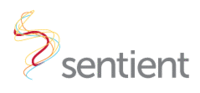 A great web designer: Sentient, New York, NY