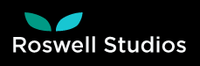 A great web designer: Roswell Studios, New York, NY
