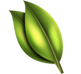 A great web designer: iFresh Web Designs, New Braunfels, TX