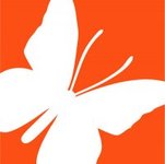 A great web designer: Fuzz Productions, San Francisco, CA