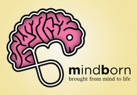 A great web designer: MindBorn, Warsaw, Poland