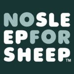A great web designer: No Sleep For Sheep, Nashville, TN