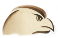 A great web designer: Eagles Eye Design, Akron, OH