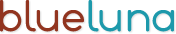 A great web designer: BlueLuna, Boston, MA