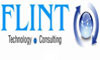 A great web designer: Flint Technosys (flinttechnosys.com), Mumbai, India
