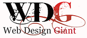 A great web designer: Web Design Giant, Inc., Boston, MA