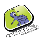 A great web designer: Antsy Ant Web Design, Honolulu, HI