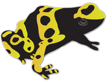 A great web designer: Trajan Studio, Kingsport, TN