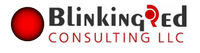A great web designer: BlinkingRed Consulting, Detroit, MI