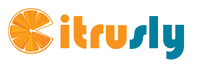 A great web designer: Citrusly Media Technology, Indore, India