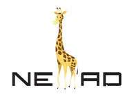 A great web designer: NEAD Inc., Orange County, CA