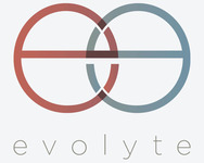 A great web designer: Evolyte, Chicago, IL
