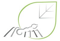 A great web designer: Leafcutter Creative Digital, Sydney, Australia