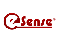 A great web designer: eSense Web Design Agency, Kuala Lumpur, Malaysia