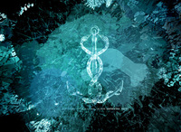 A great web designer: The Codega :: Creative, Los Angeles, CA