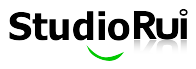 A great web designer: StudioRui Webdesign, Los Angeles, CA