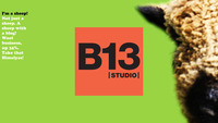 A great web designer: B13 Studio, Devens, MA