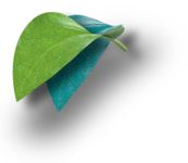 A great web designer: Genesis Creatives, Basseterre, Saint Kitts And Nevis