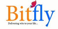 A great web designer: Bitfly Technologies, New Delhi, India