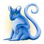 A great web designer: Blue Mouse Monkey Inc., Portland, OR