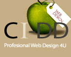 A great web designer: CI-DD, Fort Lauderdale, FL