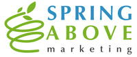 A great web designer: Spring Above Marketing, Burlington, VT