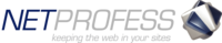 A great web designer: NetProfess Limited, Auckland, New Zealand