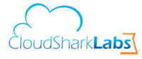 A great web designer: CloudSharkLabs, Los Angeles, CA