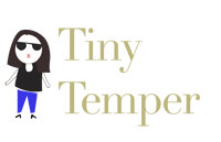 A great web designer: Tiny Temper, Amsterdam, Netherlands