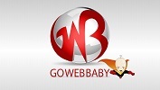 A great web designer: gowebbaby, Southfield, MI