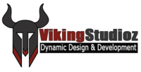 A great web designer: Viking Studioz, Los Angeles, CA