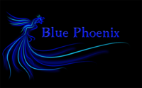 A great web designer: Blue Phoenix Creative, Boston, MA
