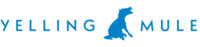 A great web designer: Yelling Mule, Boston, MA
