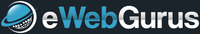 A great web designer: eWebGurus, Dallas, TX