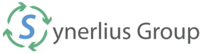 A great web designer: Synerlius Group, New York, NY