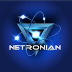 A great web designer: NETRONIAN INC., Orlando, FL