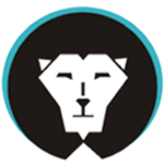 A great web designer: Scharmach Consulting, Gdansk, Poland