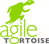 A great web designer: Agile Tortoise, Dallas, TX