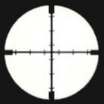 A great web designer: SEO Ibérica, Palma de Mallorca, Spain