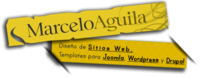 A great web designer: Marcelo Aguila, Punta Arenas, Chile