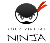 A great web designer: Your Virtual Ninja, Vejle, Denmark