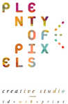 A great web designer: Plenty of Pixels , Los Angeles, CA