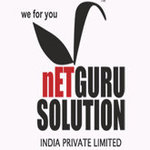 A great web designer: Netgurusolution India Pvt.Ltd, Pune, India