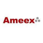 A great web designer: Ameex, Chicago, IL