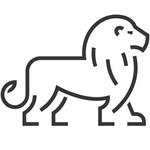 A great web designer: Level Nine Media, San Antonio, TX